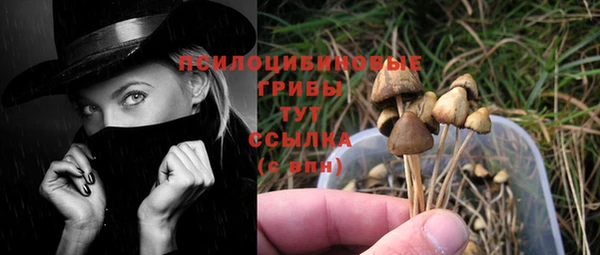 PSILOCYBIN Бугульма